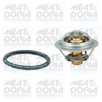 Thermostat, coolant